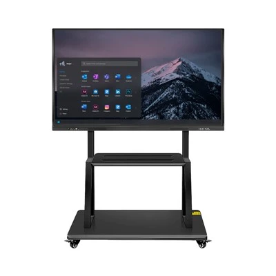 55 inch interactief bord voor onderwijs